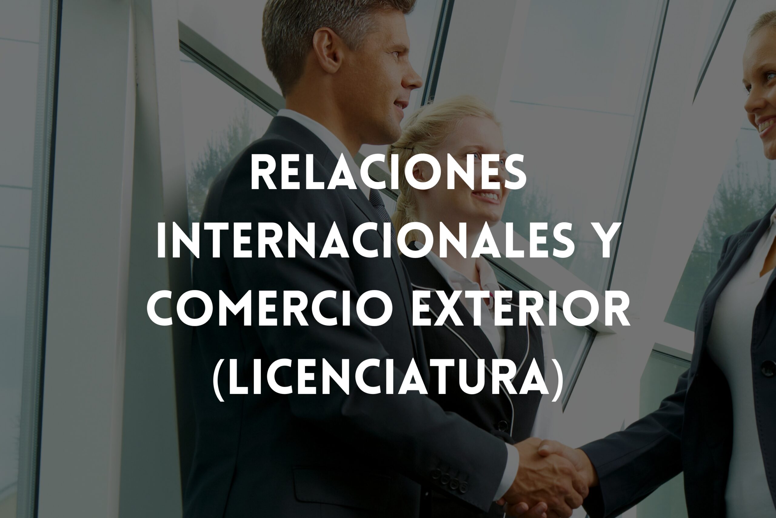 Relaciones Internacionales y Comercio Exterior (Licenciatura)