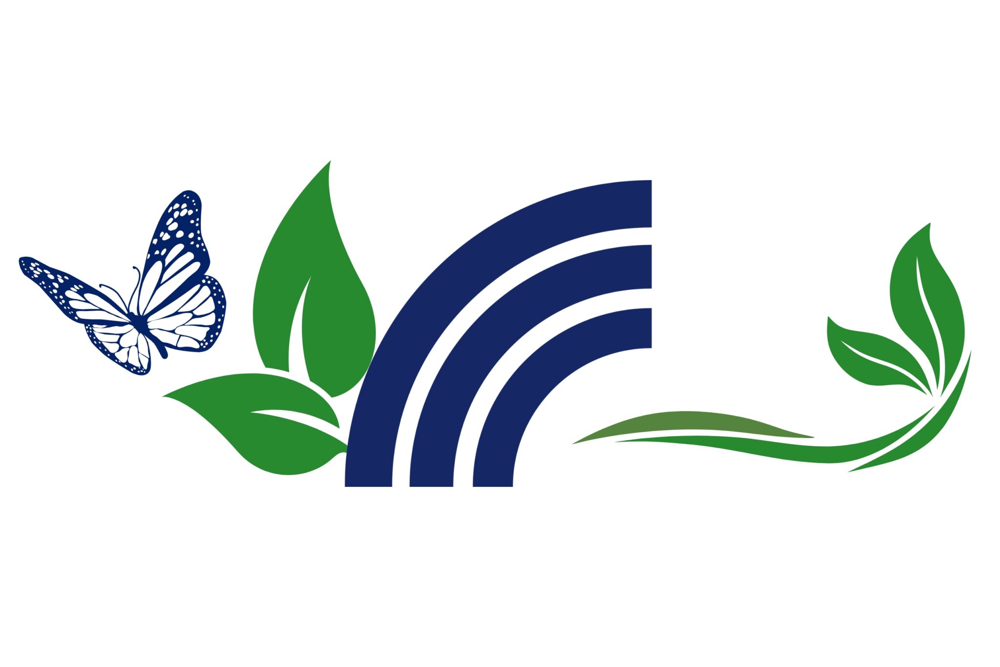 UNIVERSIDAD EN TIZAYUCA