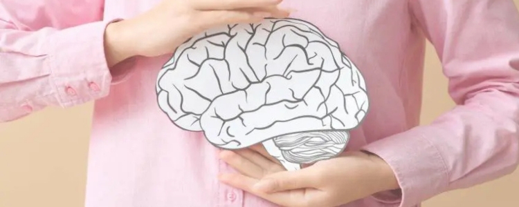 MAESTRÍA EN NEUROEDUCACIÓN