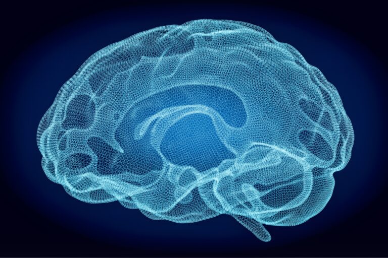 NEUROPSICOLOGÍA VS NEUROEDUCACIÓN: ¿Cuál Estudiar?