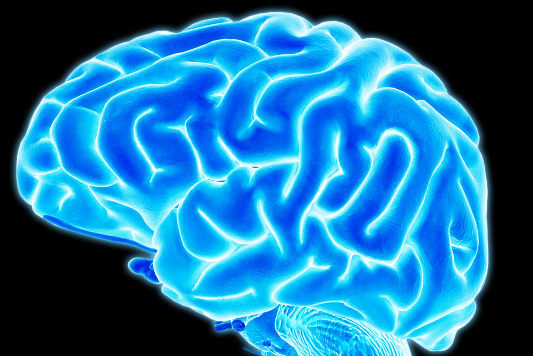 Todo lo que necesitas saber sobre la neuroeducación 2026